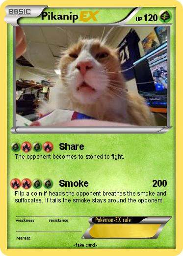 Pokemon Pikanip