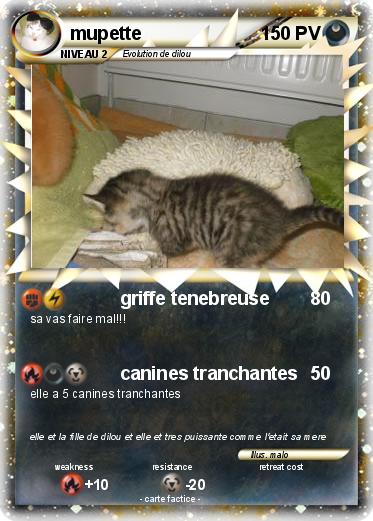 Pokemon mupette