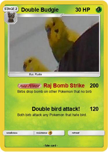 Pokemon Double Budgie