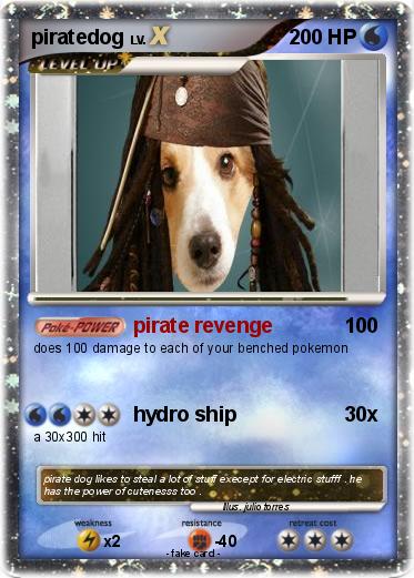 Pokemon piratedog