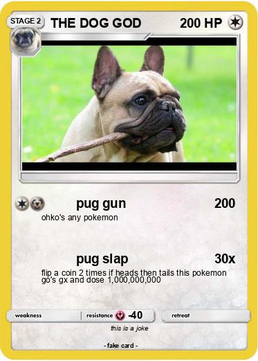 Pokemon THE DOG GOD