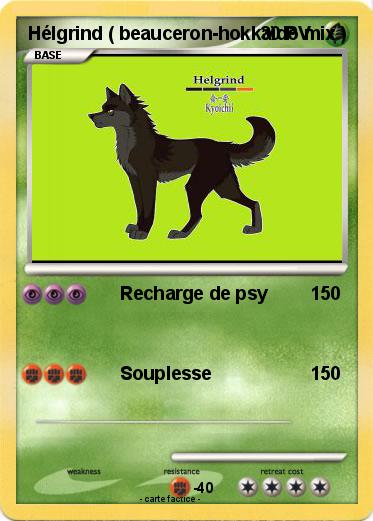 Pokemon Hélgrind ( beauceron-hokkaïdo mix )