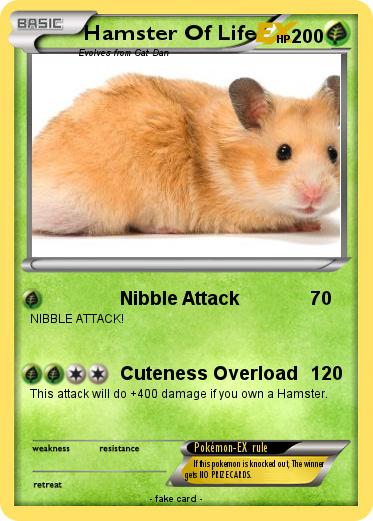 Pokemon Hamster Of Life
