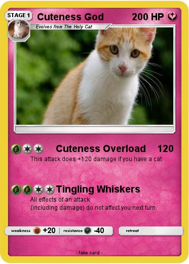 Pokemon Cuteness God