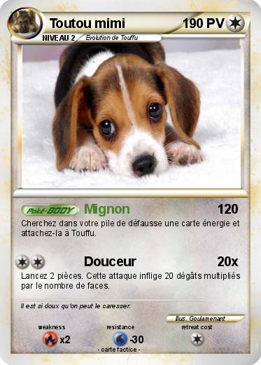 Pokemon Toutou mimi