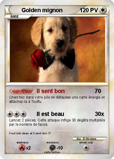 Pokemon Golden mignon