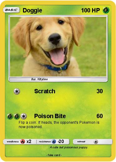 Pokemon Doggie