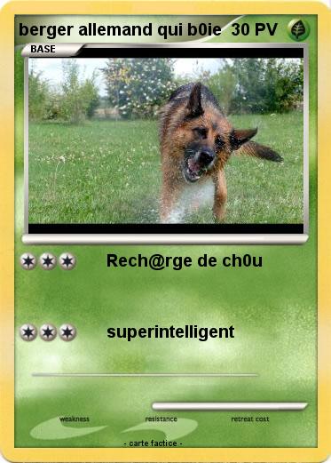 Pokemon berger allemand qui b0ie