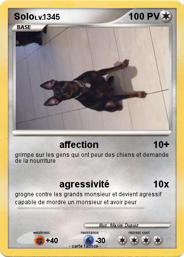 Pokemon Solo