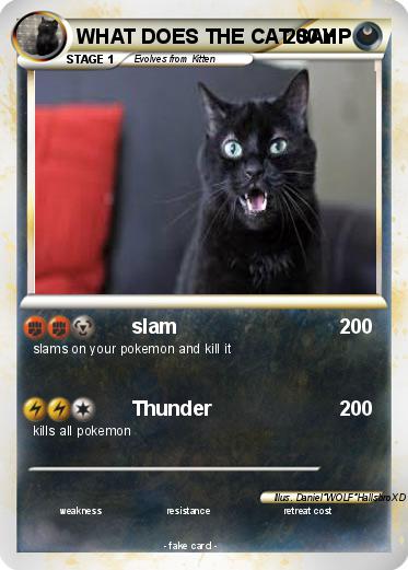 Pokemon WHAT DOES THE CAT SAY
