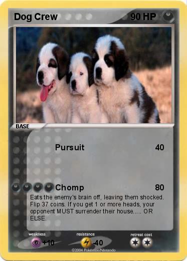 Pokemon Dog Crew