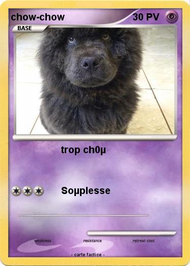 Pokemon chow-chow