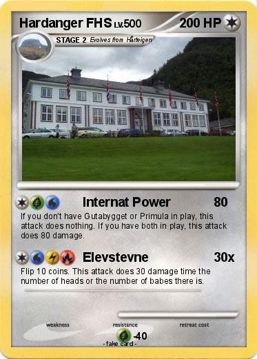 Pokemon Hardanger FHS