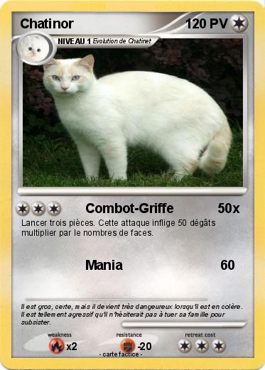 Pokemon Chatinor