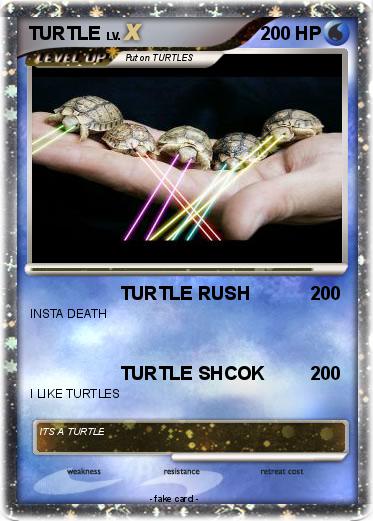 Pokemon TURTLE