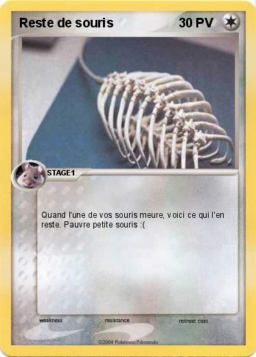 Pokemon Reste de souris
