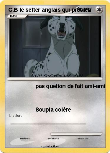 Pokemon G.B le setter anglais qui prèsien