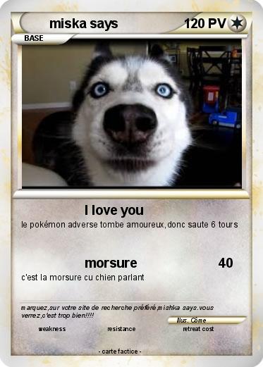 Pokemon miska says