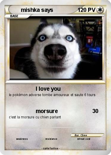 Pokemon mishka says