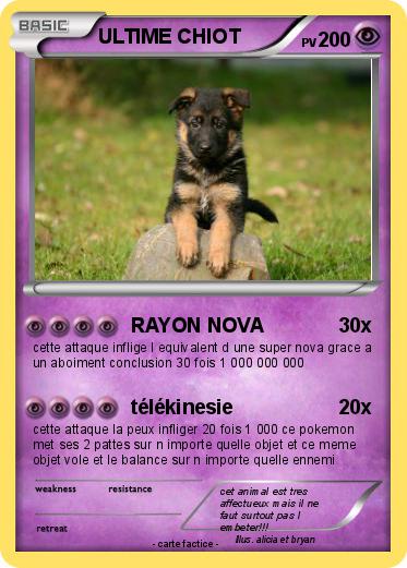 Pokemon ULTIME CHIOT