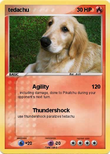 Pokemon tedachu