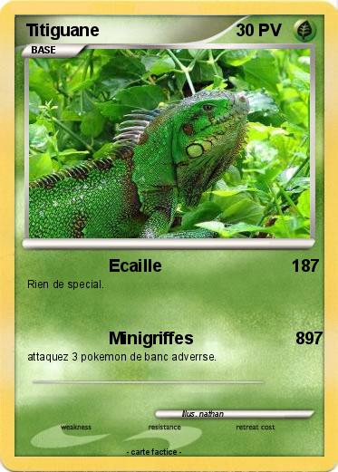 Pokemon Titiguane