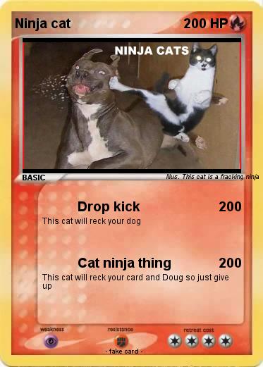 Pokemon Ninja cat