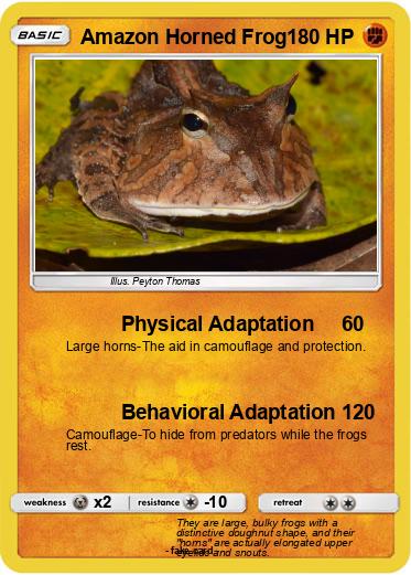 Pokemon Amazon Horned Frog