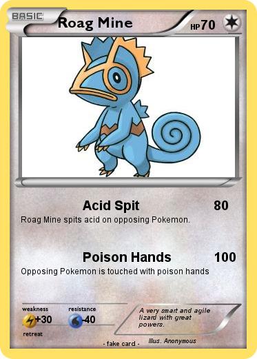 Pokemon Roag Mine