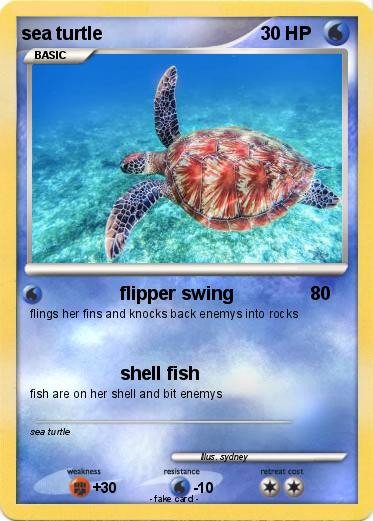 Pokemon sea turtle