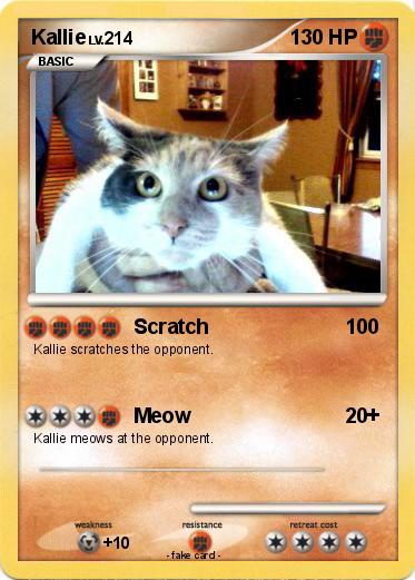 Pokemon Kallie