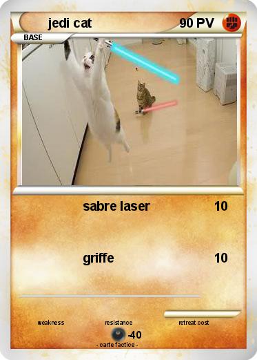 Pokemon jedi cat