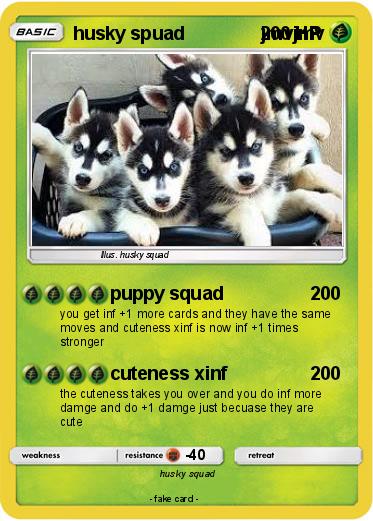 Pokemon husky spuad               jmvjmv