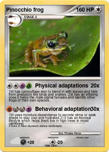 Pokemon Pinocchio frog