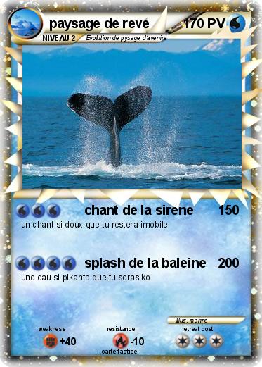 Pokemon paysage de reve