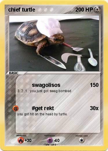 Pokemon chief turtle