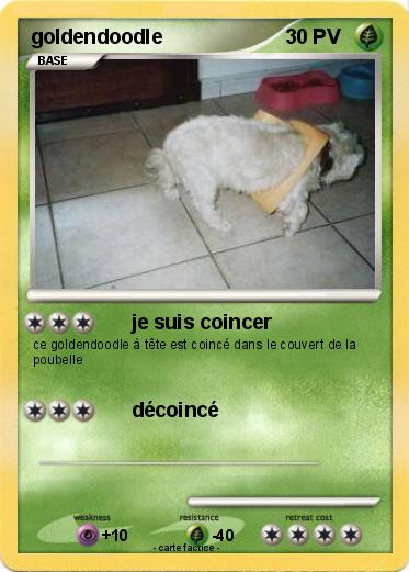 Pokemon goldendoodle