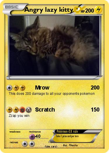 Pokemon Angry lazy kitty