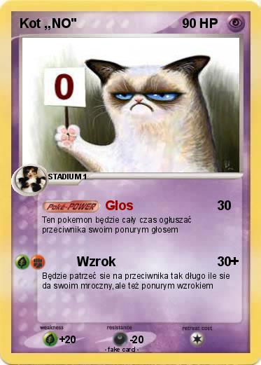 Pokemon Kot ,,NO"