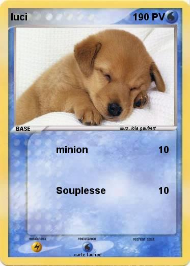 Pokemon luci
