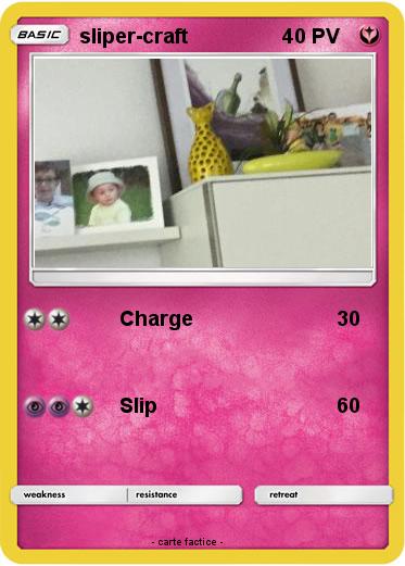 Pokemon sliper-craft