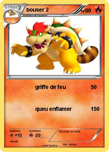 Pokemon bouser 2