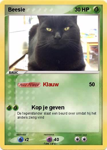 Pokemon Beesie