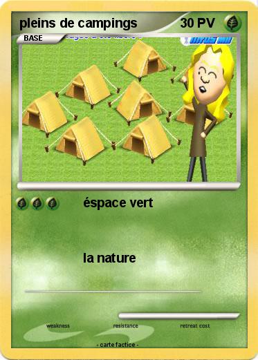 Pokemon pleins de campings