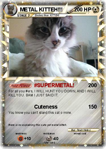 Pokemon METAL KITTEH!!!