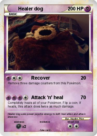 Pokemon Healer dog