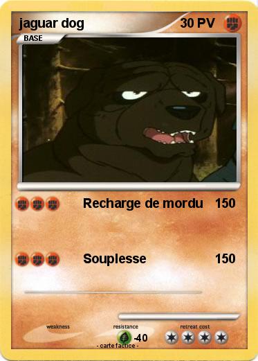 Pokemon jaguar dog
