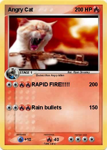 Pokemon Angry Cat