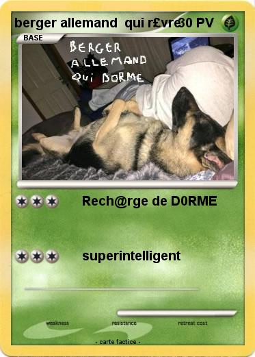 Pokemon berger allemand  qui r£vre