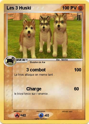 Pokemon Les 3 Huski